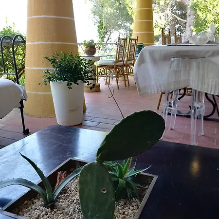 La Vela Di Castro *